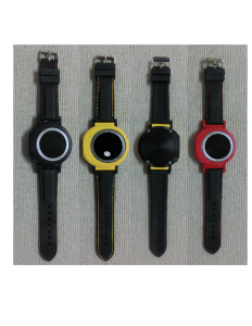 pi-watch-couleurs